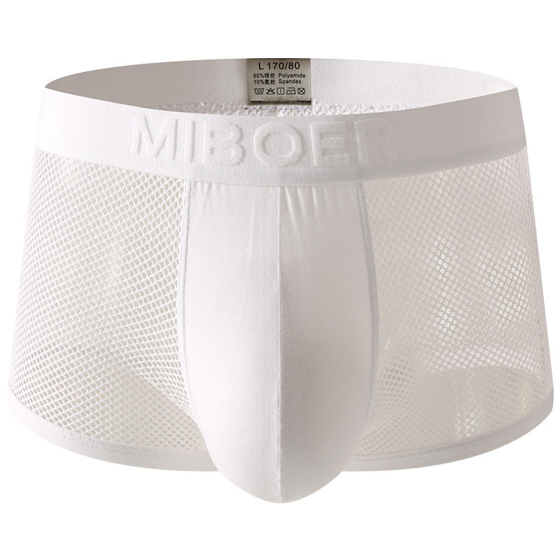 Low-rise Mesh Sexy Mens Boxer Briefs