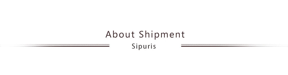 Sipuris Custom Initial Name Tie Clip For Men Stainless Steel Personalized Tie Clasp Trendy Fashion Jewelry Weddings Gifts