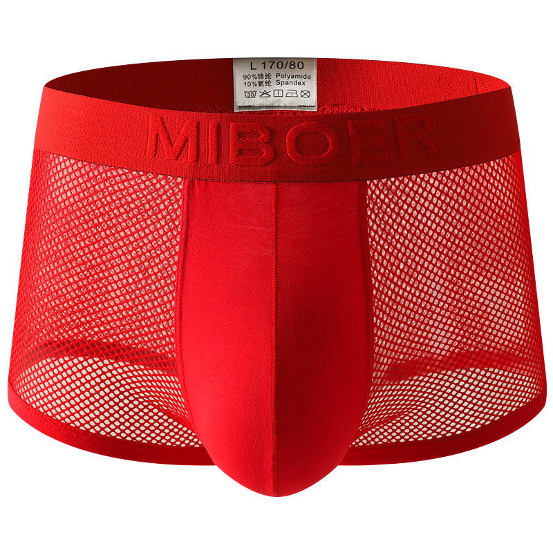 Low-rise Mesh Sexy Mens Boxer Briefs